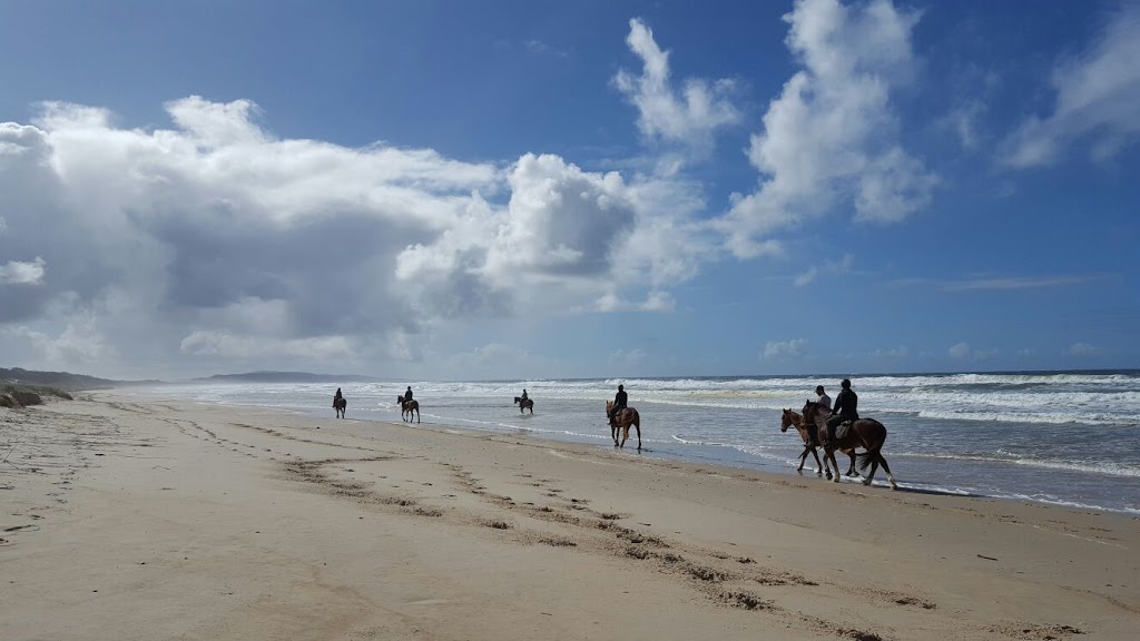 Equathon Horse Riding | Esplanade, Noosa North Shore QLD 4565, Australia | Phone: (07) 5474 2665