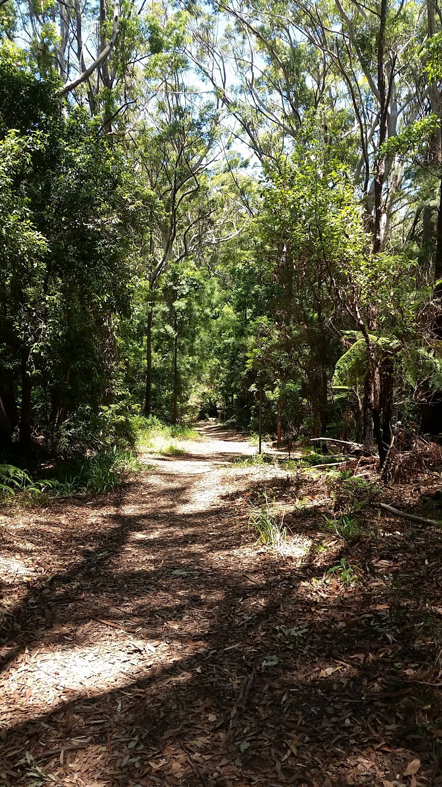 Orara East | New South Wales, Australia