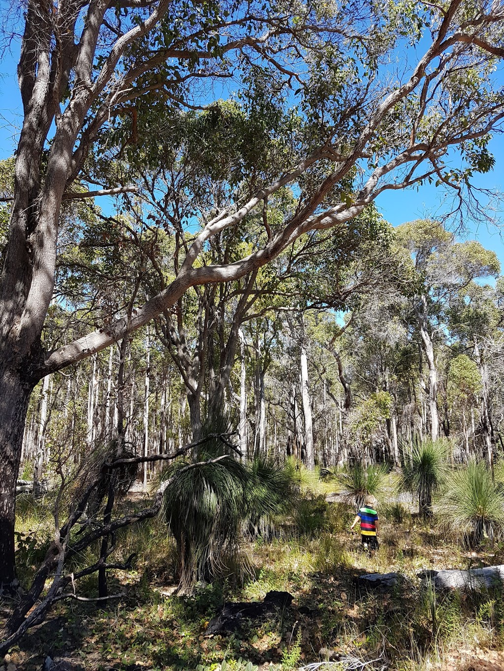 Yelverton National Park | park | Yelverton WA 6280, Australia