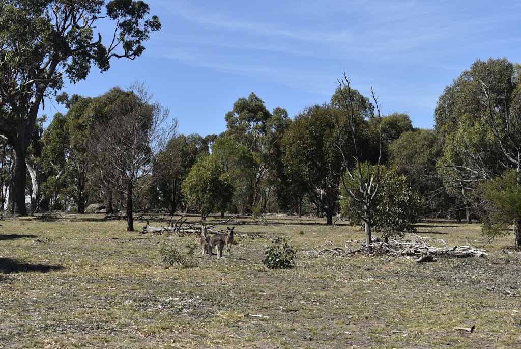 Woodlands Historic Park. | Somerton Rd, Greenvale VIC 3059, Australia | Phone: 13 19 63