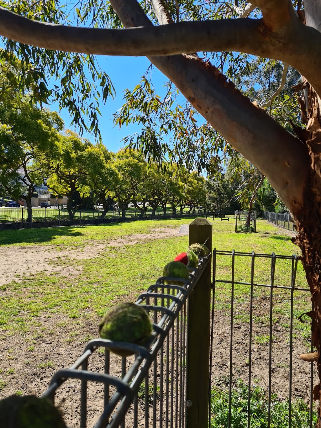 Dog friendly leash-free park | Crn and, Railway Parade & Harrow Rd, Kogarah NSW 2217, Australia