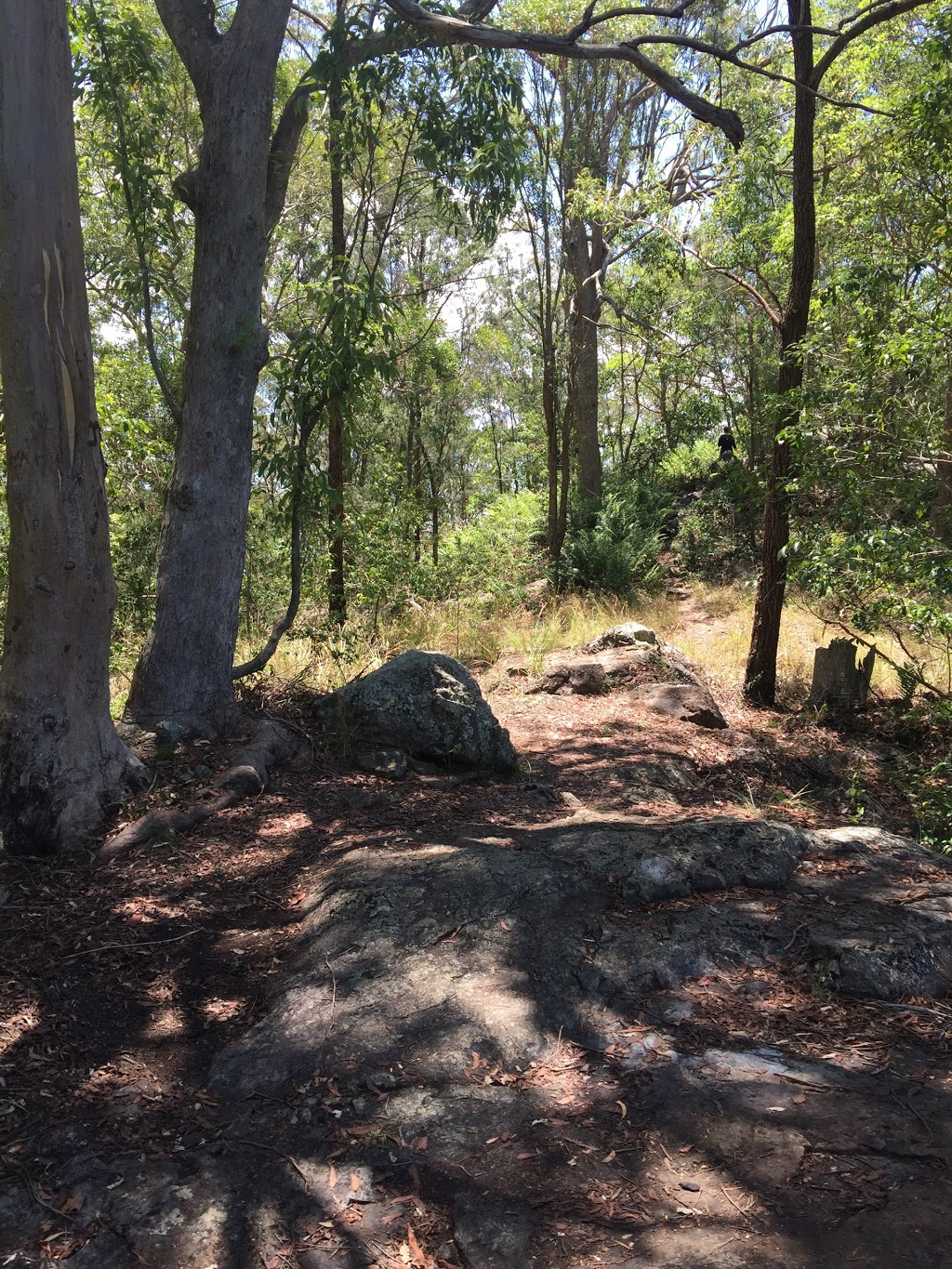 Mount Nebo Lookout | 60 Mount Nebo Break, Mount Nebo QLD 4061, Australia | Phone: (07) 3403 8888