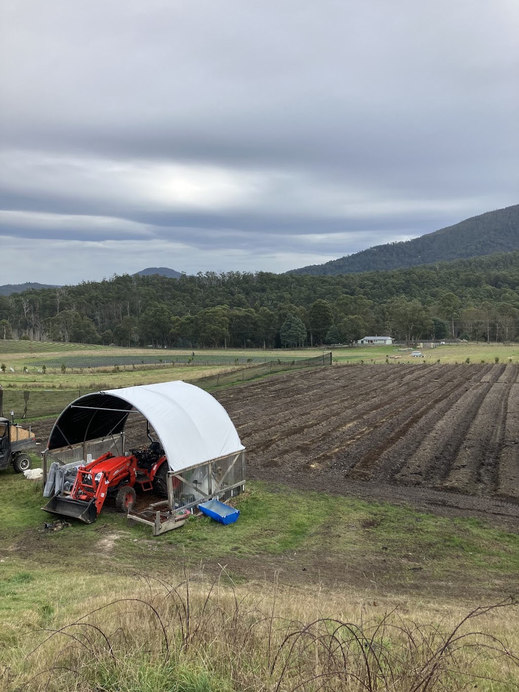 Appinoka Regenerative Farming | 36 Waggs Rd, Mountain River TAS 7109, Australia | Phone: 0457 207 638