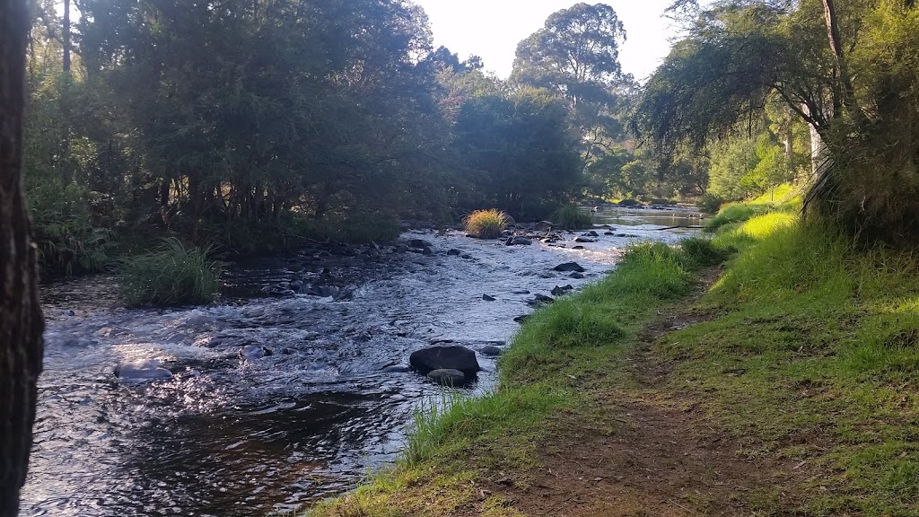 Yarra River Walk - Dammans Rd, Warburton VIC 3799, Australia