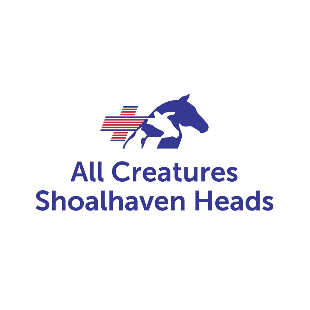 All Creatures Vet Clinic Shoalhaven Heads | veterinary care | 5/121 Shoalhaven Heads Rd, Shoalhaven Heads NSW 2535, Australia | 0244487025 OR +61 2 4448 7025