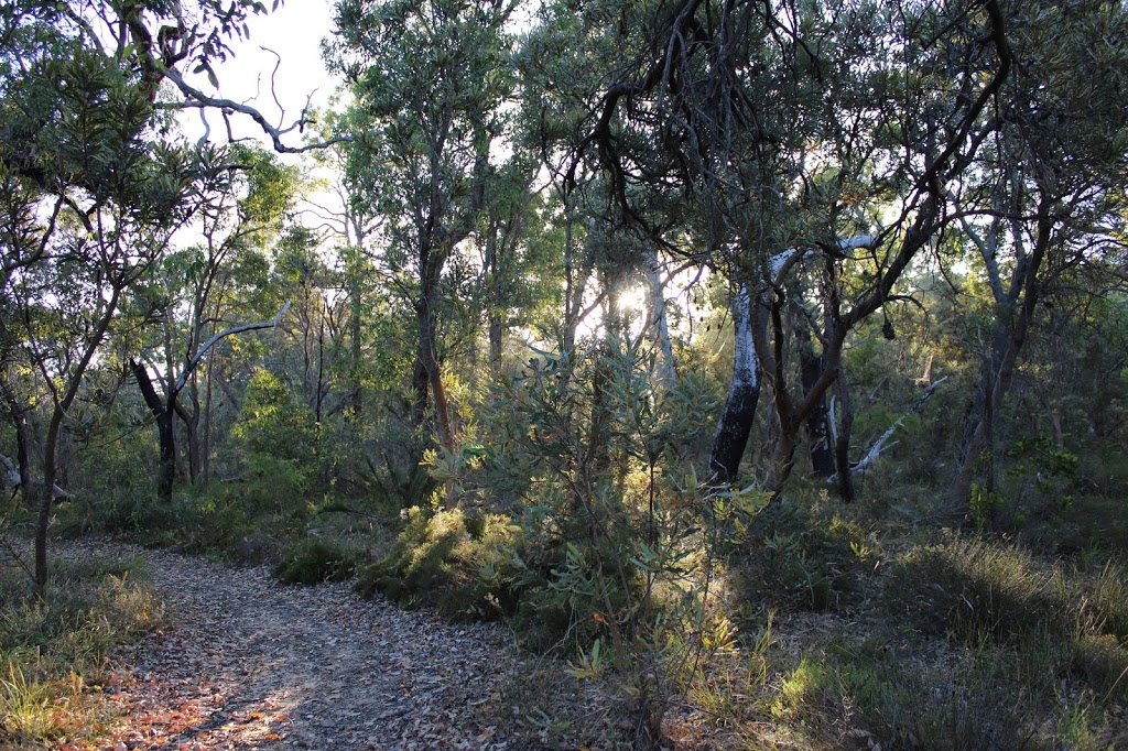 Don Shepherd Nature Reserve Trail | park | 19 Karnup Rd, Baldivis WA 6171, Australia | 0895280333 OR +61 8 9528 0333