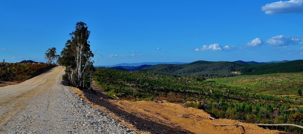 Essington State Forest | Beaconsfield Rd, Essington NSW 2787, Australia | Phone: (02) 9872 0111