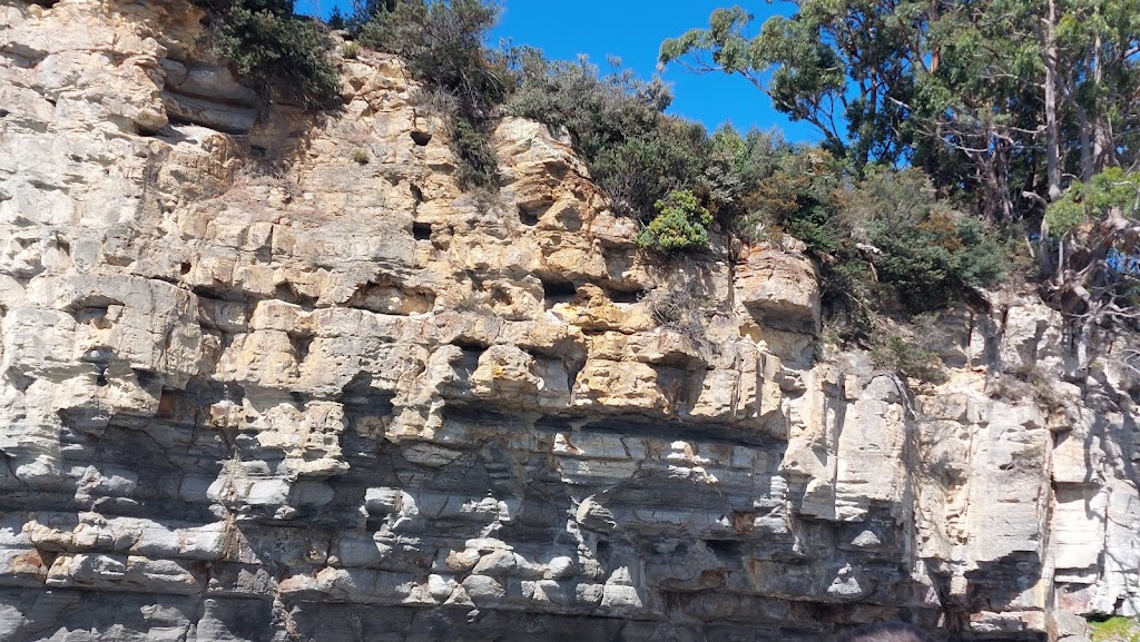 Cape Raoul Cruises | Port Arthur Historic Site, Jetty Rd, Port Arthur TAS 7182, Australia | Phone: (03) 6234 4270