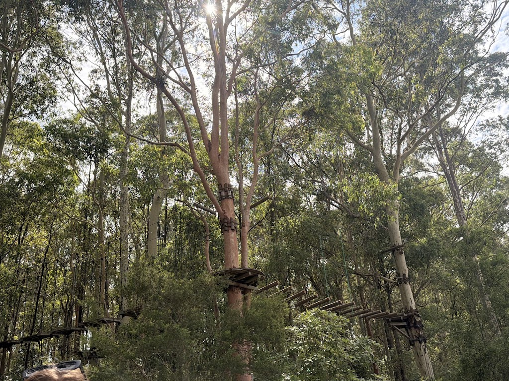WildNets Adventure Newcastle - Previously TreeTops | Treetops Rd, Minmi NSW 2287, Australia | Phone: 0435 422 447