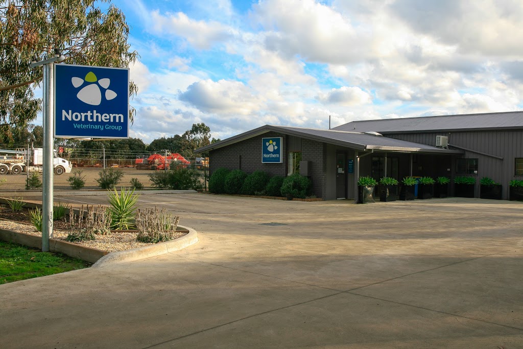 Kilmore Vet | veterinary care | 115 Northern Hwy, Kilmore VIC 3764, Australia | 0357821574 OR +61 3 5782 1574