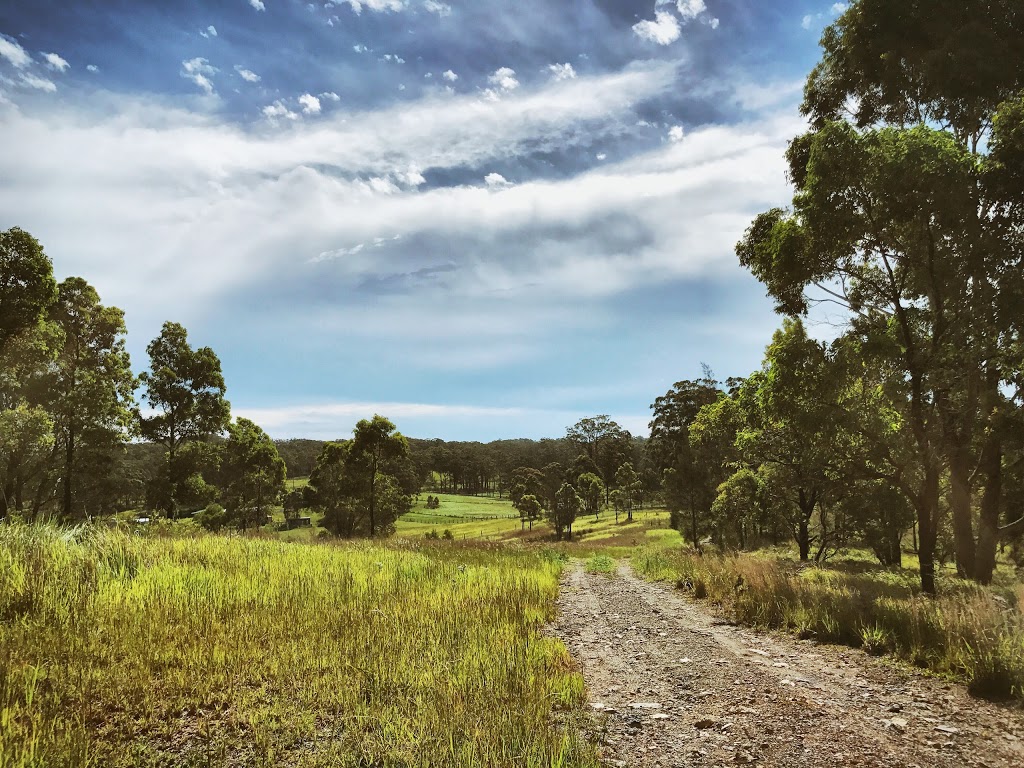 Cattai Wetlands | park | Spring Hill Rd, Coopernook NSW 2426, Australia | 0265925399 OR +61 2 6592 5399