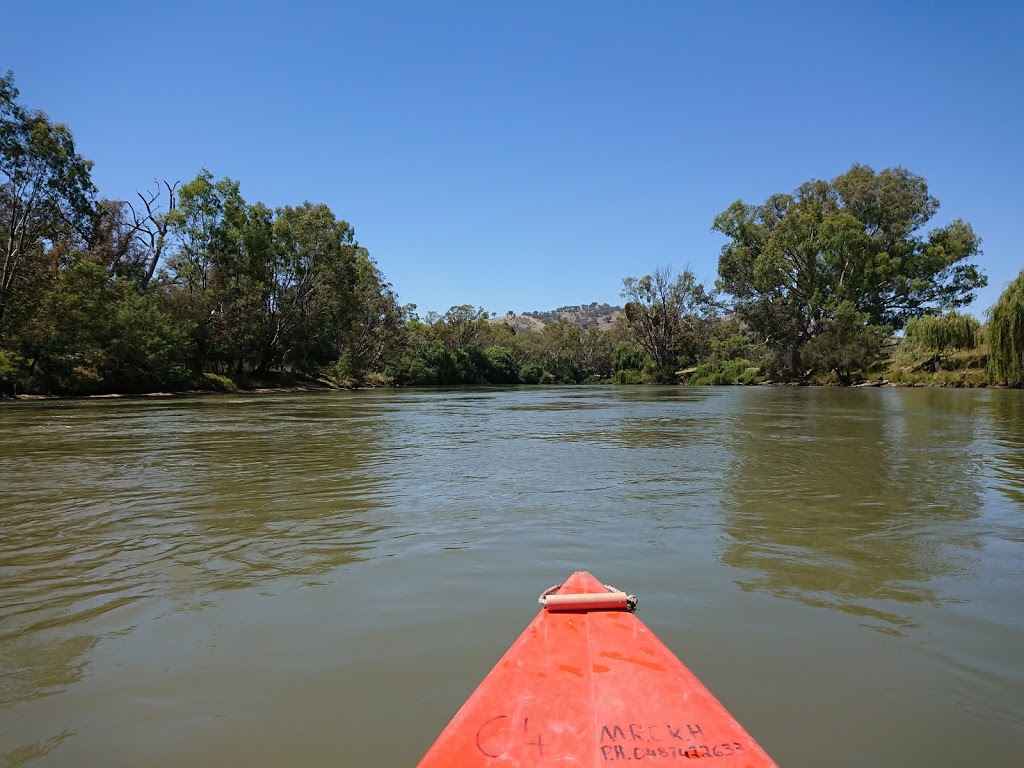 Murray River Canoe Hire | store | 301 Macauley St, South Albury NSW 2640, Australia | 0417691339 OR +61 417 691 339