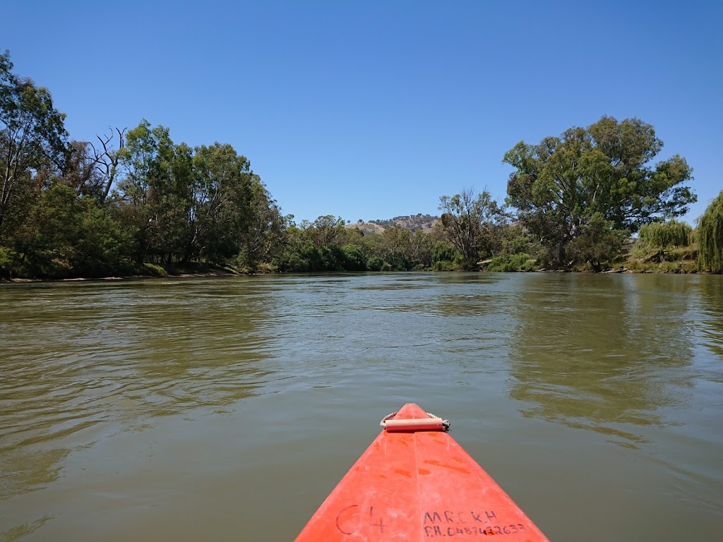 Murray River Canoe Hire | 301 Macauley St, South Albury NSW 2640, Australia | Phone: 0417 691 339