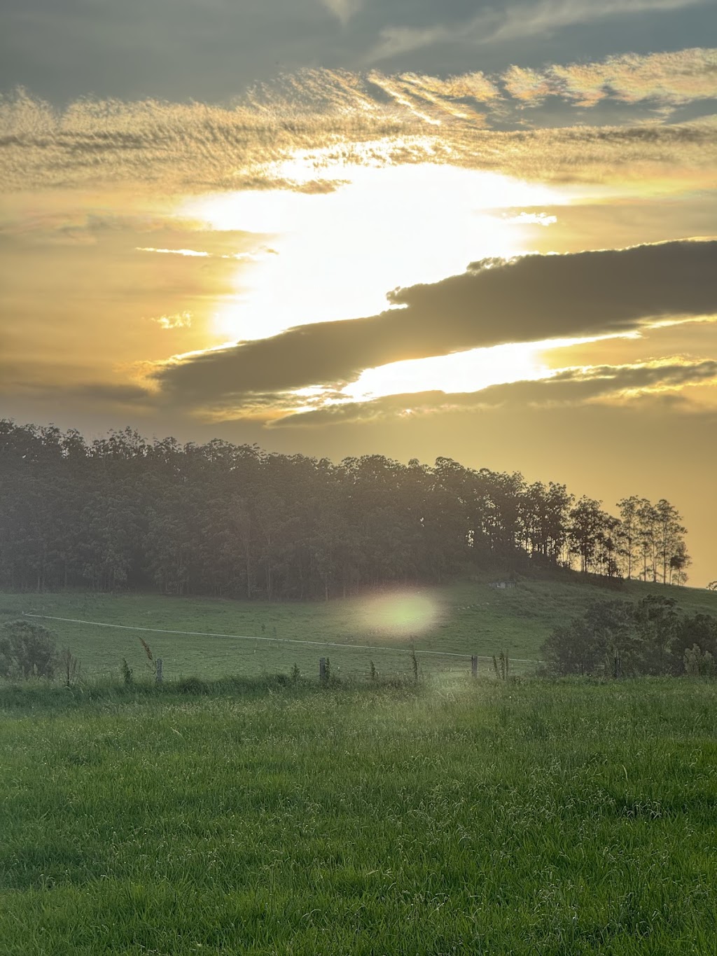 Coodellil Farm | 160 Logans Crossing Rd, Logans Crossing NSW 2439, Australia | Phone: 0432 240 073