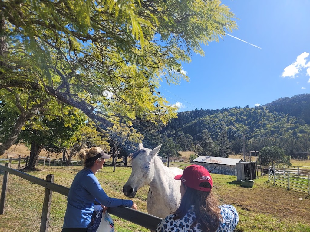 Sabrina Stephens Equine Assisted Therapy | 3434 Kerry Rd, Darlington QLD 4285, Australia | Phone: 0413 760 263