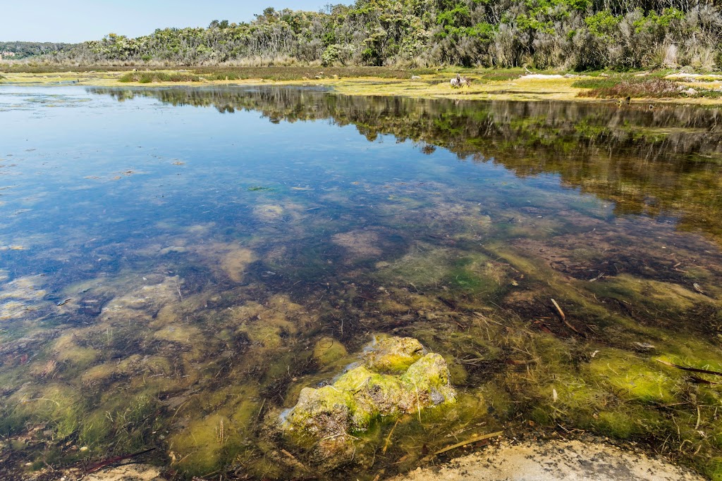 Red Bluff Coastal Reserve | park | Yanakie VIC 3960, Australia