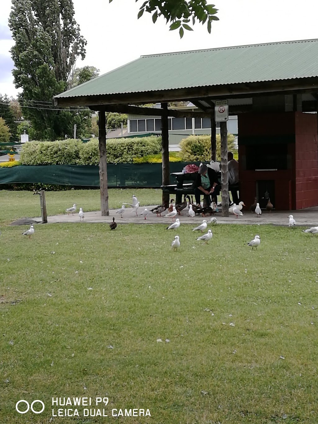 New Norfolk Bowls & Community Club | 7 Page Ave, New Norfolk TAS 7140, Australia | Phone: (03) 6261 2675 New Norfolk Bowls & Community Club | 7 Page Ave, New Norfolk TAS 7140, Australia | Phone: (03) 6261 2675