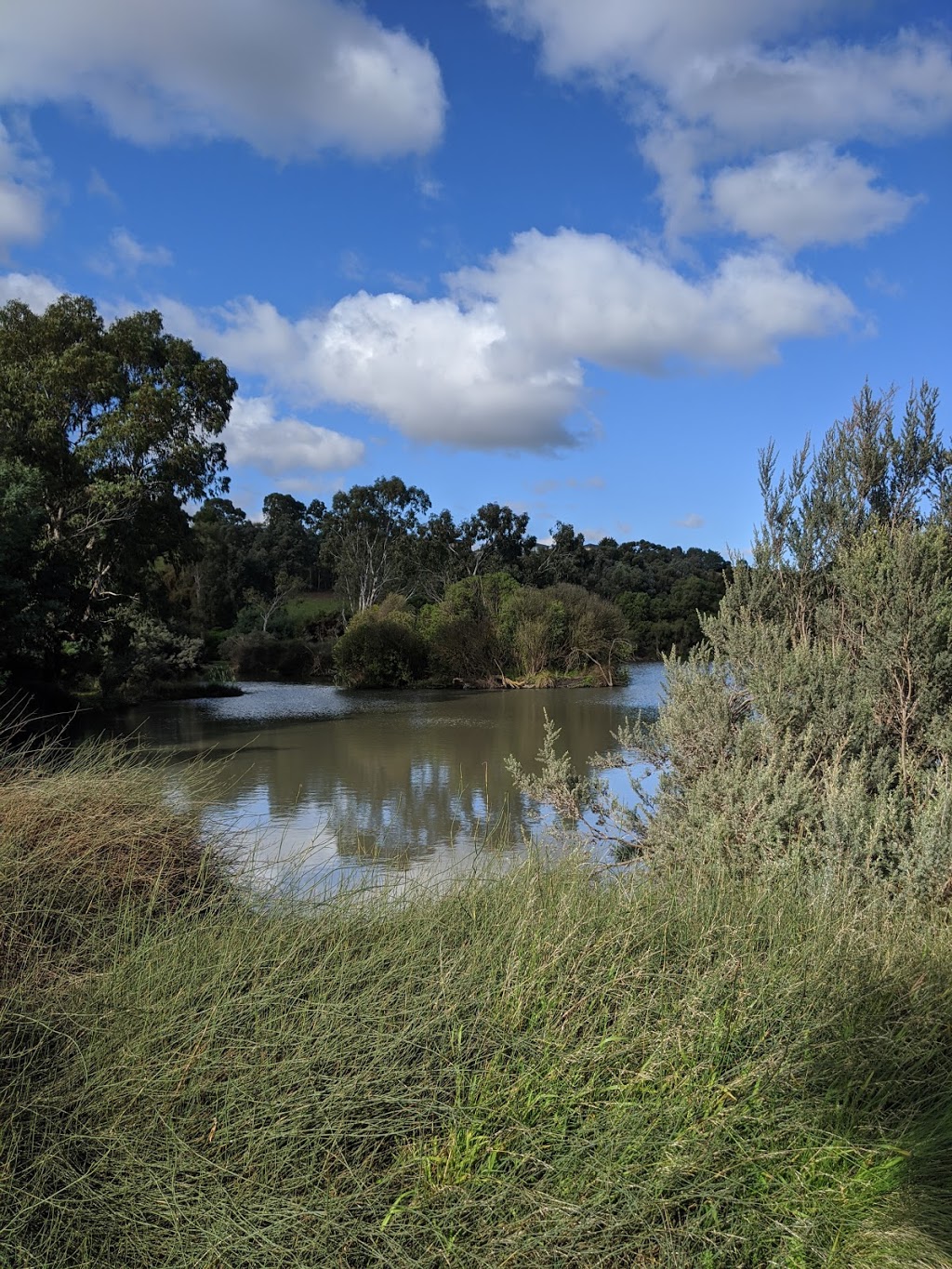 Shankland wetlands | park | Meadow Heights VIC 3048, Australia