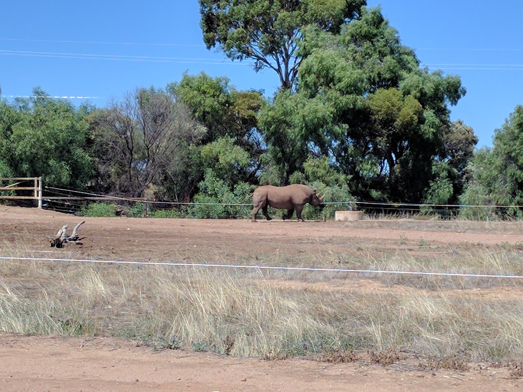 Monarto Zoo | Old Princes Hwy, Monarto South SA 5254, Australia | Phone: (08) 8534 4100