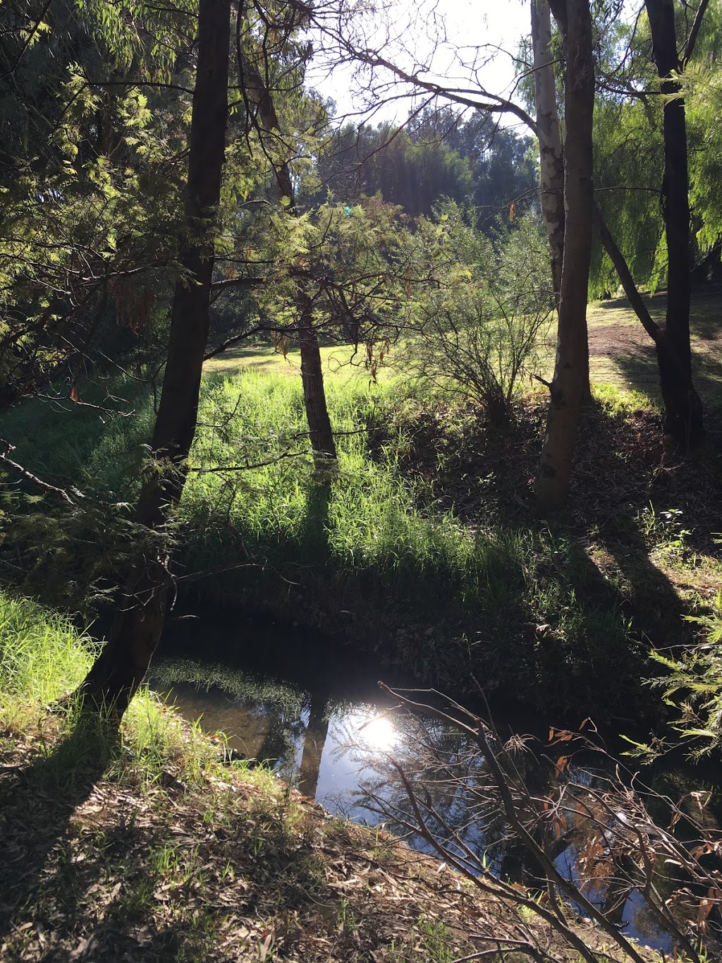 5 mile creek reserve | park | 2 Government Rd, Essendon VIC 3040, Australia