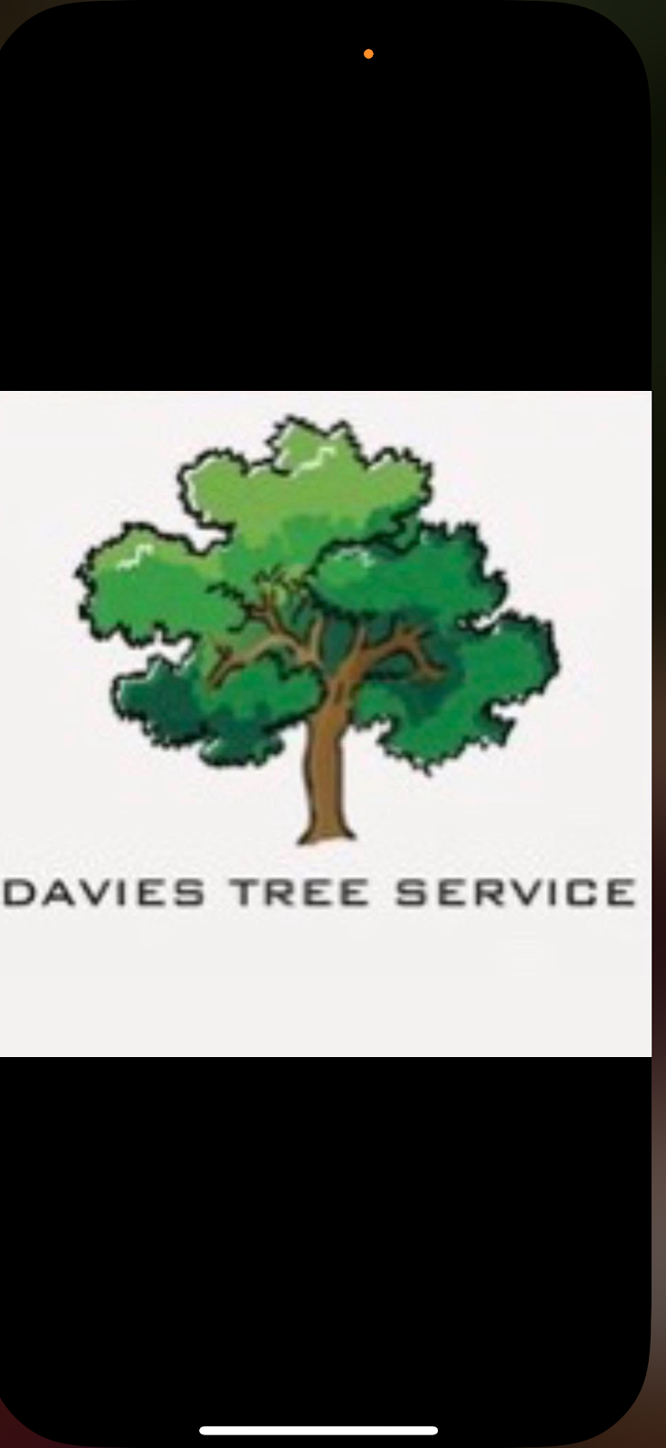 Davies tree services | 116 Bagnall Beach Rd, Corlette NSW 2315, Australia | Phone: 0432 739 097