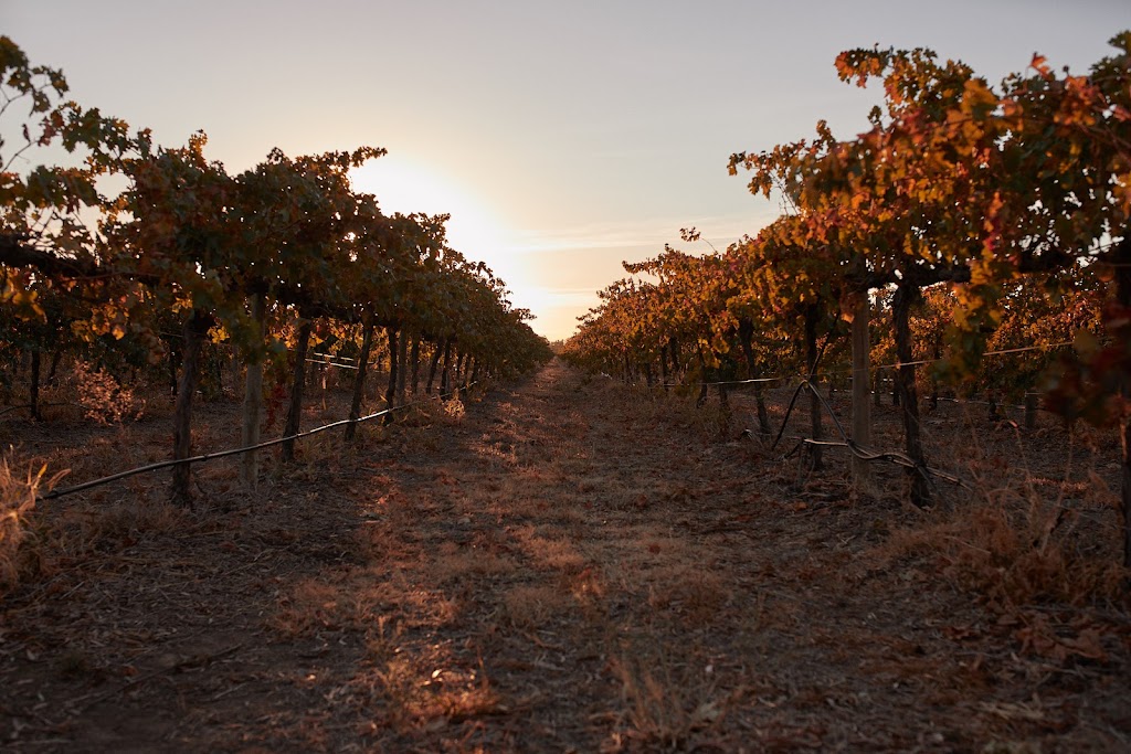 Turners Crossing | 747 Old Bridgewater-Serpentine Rd Turners Crossing Vineyard, Serpentine VIC 3517, Australia | Phone: 0434 169 747