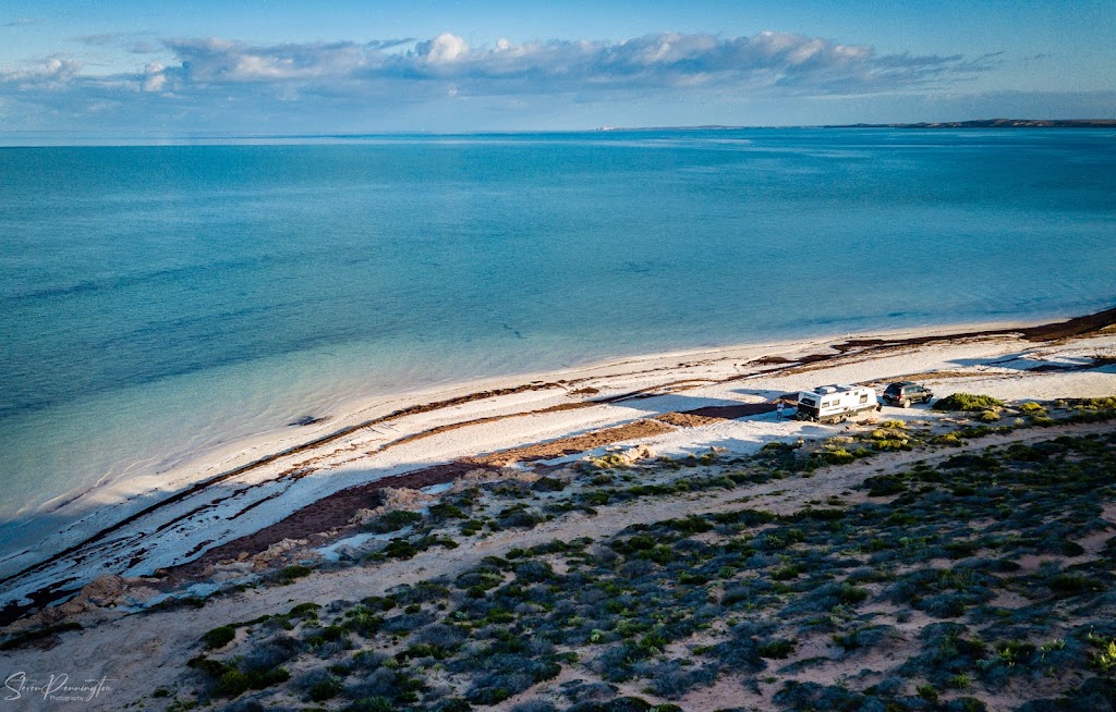 Goulet Bluff Campsite | Shark Bay WA 6537, Australia | Phone: (08) 9948 2226