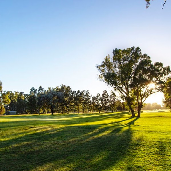 Murray River Golf Tours | lodging | 24-30 Barooga St, Tocumwal NSW 2714, Australia | 0358742300 OR +61 3 5874 2300