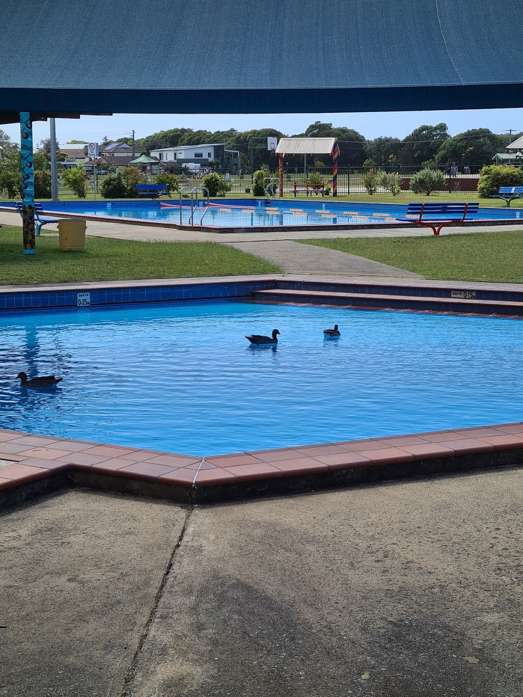 Shoalhaven Heads Swimming Pool |  | Cnr Shoalhaven Heads Road &, McIntosh St, Shoalhaven Heads NSW 2535, Australia | 0244295490 OR +61 2 4429 5490