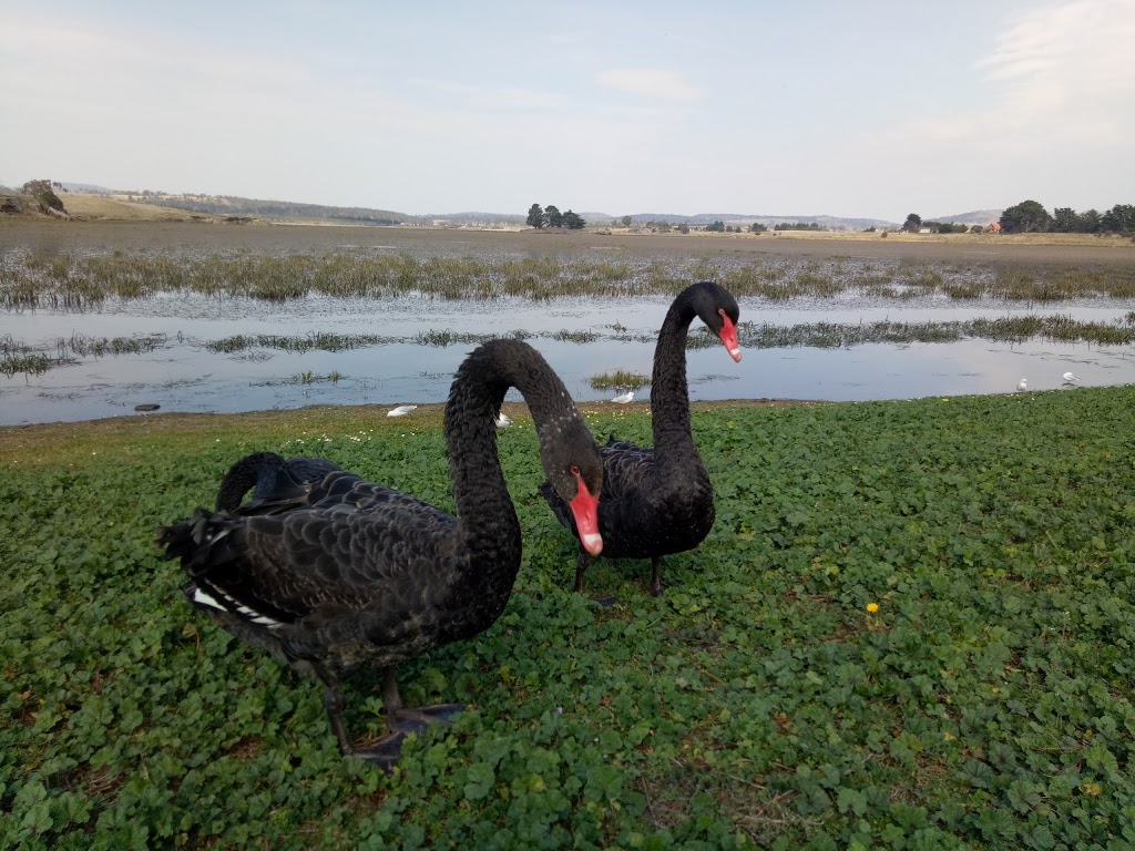 Lake Dulverton Conservation Area | Oatlands TAS 7120, Australia