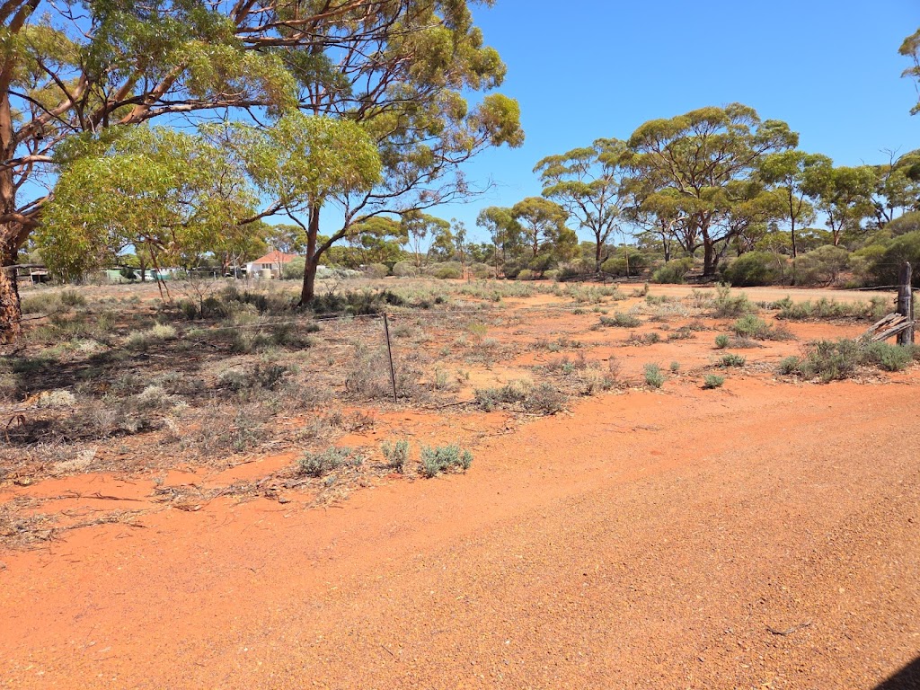 Coolgardie Camel Farm | 24RG+WP, Coolgardie WA 6429, Australia | Phone: (08) 9026 6159