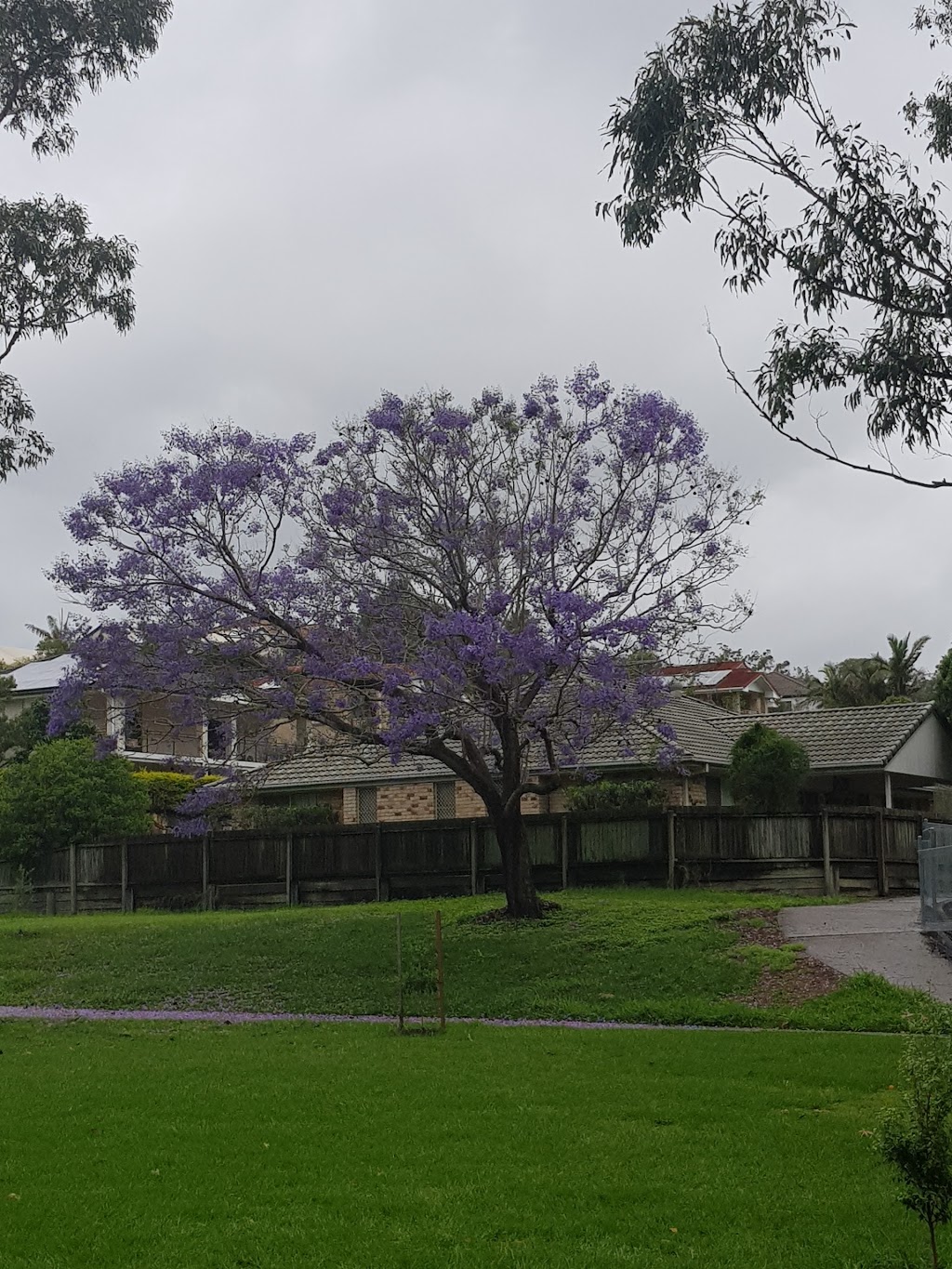 Julatten Place Park | park | 220 Upper Kedron Rd, Upper Kedron QLD 4055, Australia