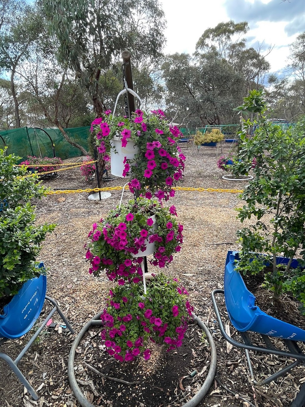 Kris Hobby Farm | 109 Junortoun Rd, Junortoun VIC 3551, Australia | Phone: 0468 462 192