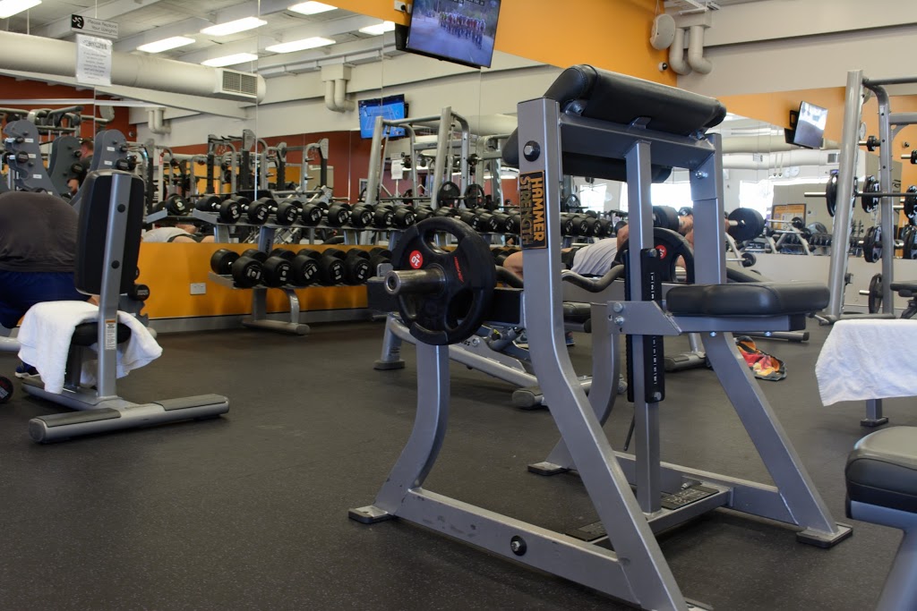 Anytime Fitness | gym | 1956 Camden Valley Way, Edmondson Park NSW 2174, Australia | 0298265273 OR +61 2 9826 5273