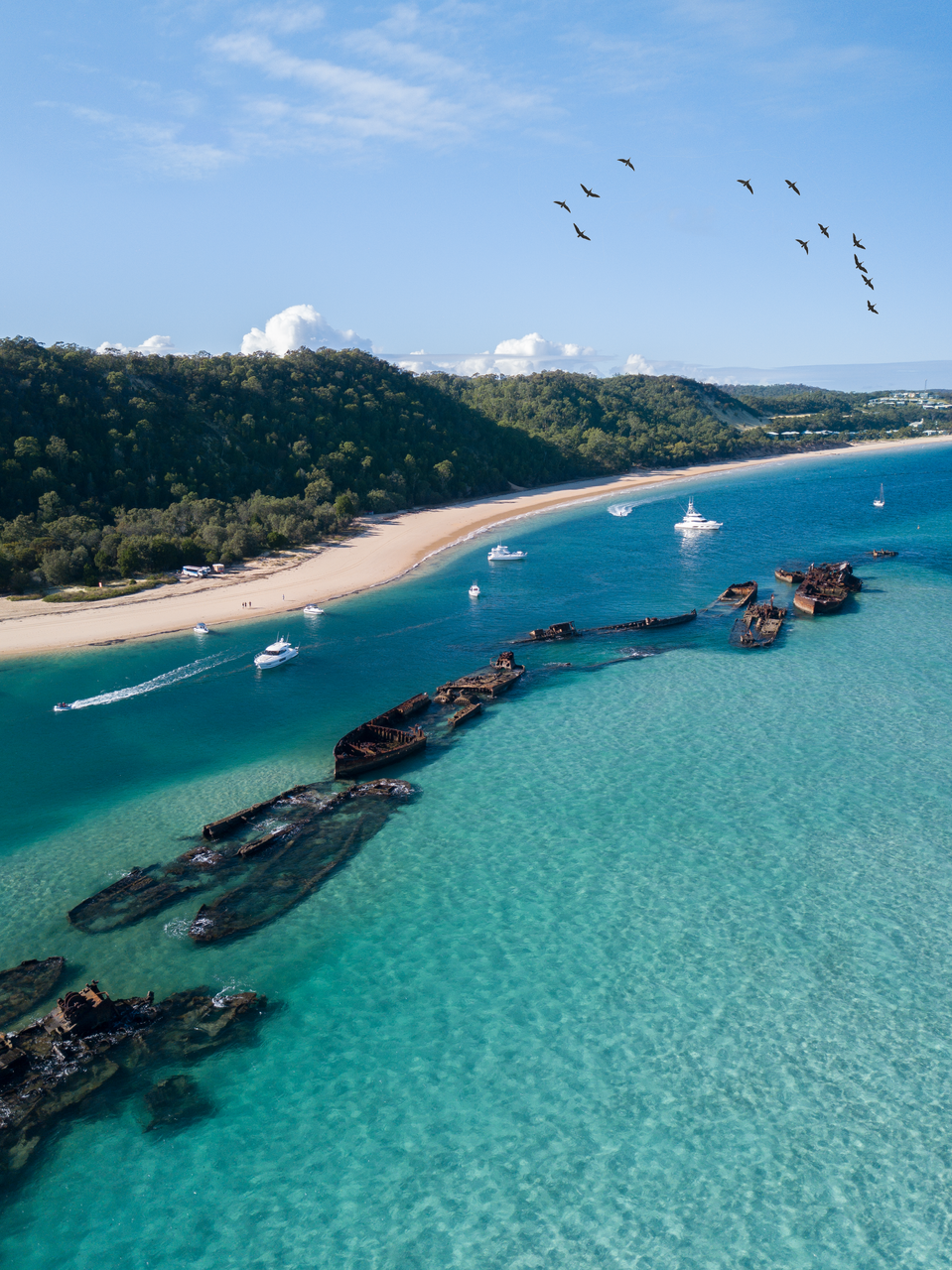 Ideal Buyers Agency | 36 Hutton Ave, Wynnum QLD 4178, Australia | Phone: 0424 310 187