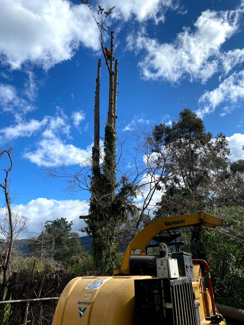 Just Trees Australia | general contractor | 58 Longos Ln, Myrtleford VIC 3737, Australia | 0435624017 OR +61 435 624 017