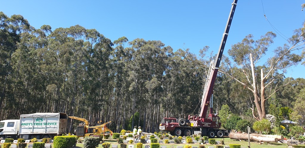 Andys Tree Service | general contractor | 154 Failford Rd, Failford NSW 2430, Australia | 0428603774 OR +61 428 603 774