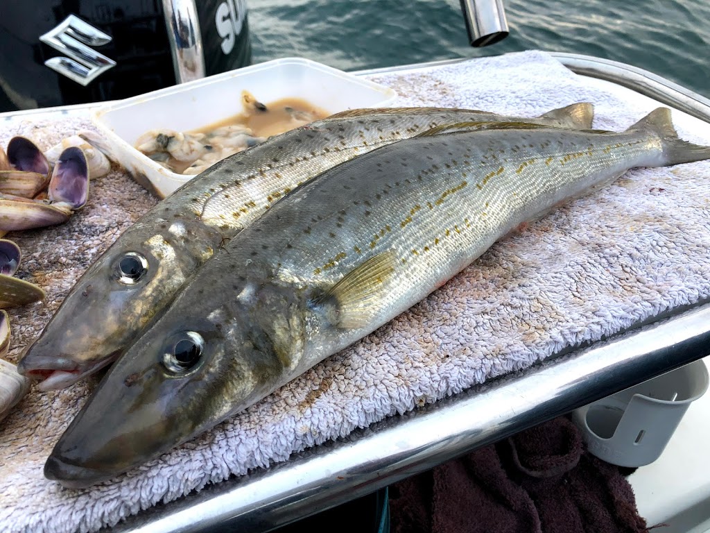 Think Big Fishing Charters | 2 Stony Point Rd, Think BIG Fishing Charters Westernport, Stony Point VIC 3919, Australia | Phone: 0423 696 061
