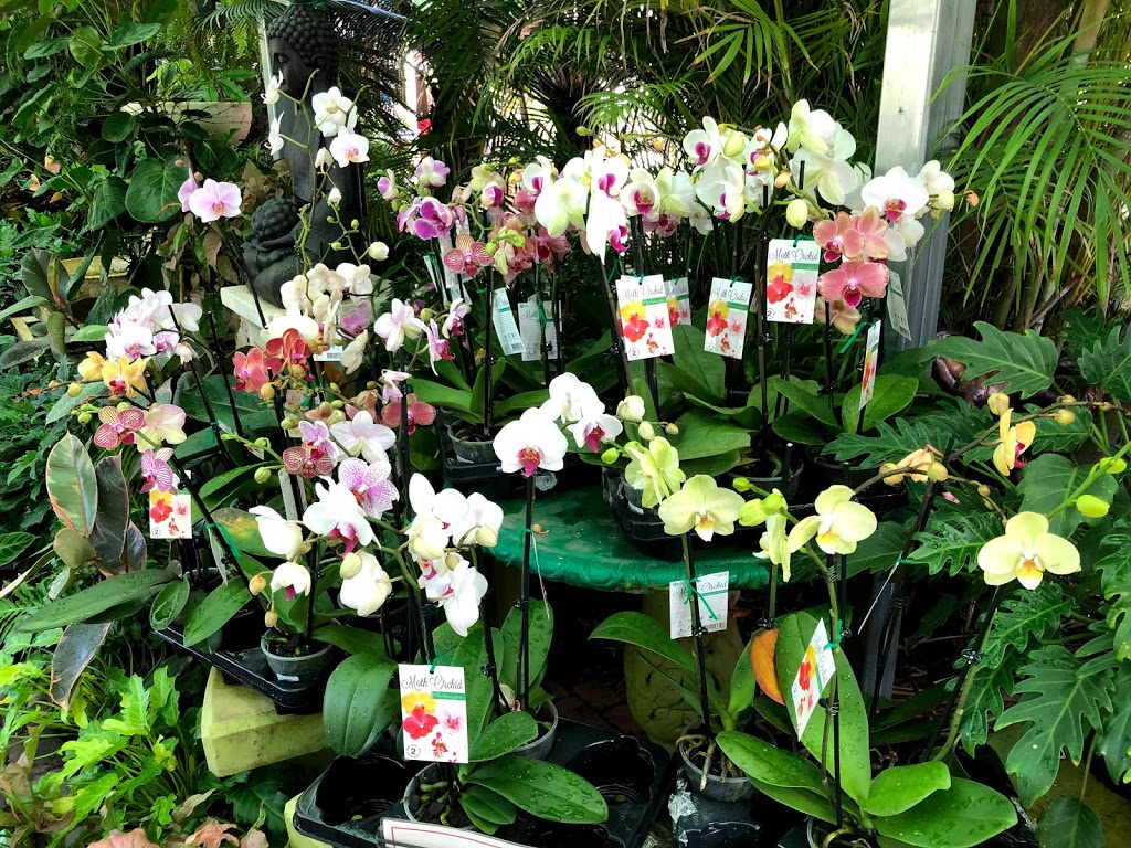 Allora Gardens Nursery | florist | Stuart Hwy, Berrimah NT 0828, Australia | 0889844006 OR +61 8 8984 4006