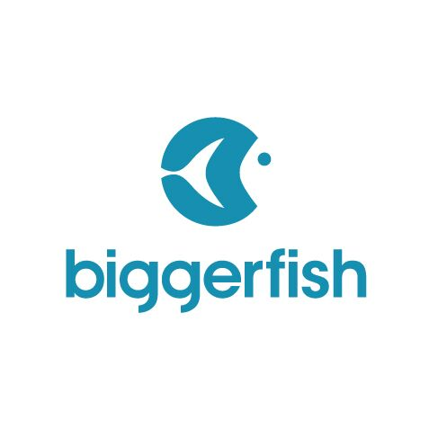 BigggerFish Bookkeeping | accounting | 238 Glenferrie Rd, Malvern VIC 3144, Australia | 1300462444 OR +61 1300 462 444