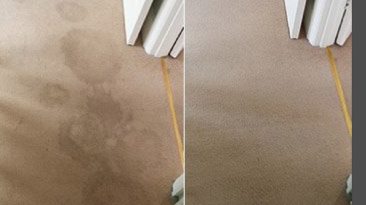 Grippos Carpet Cleaning | 3/27 Pineapple Rd, Goonellabah NSW 2480, Australia | Phone: 0431 932 901