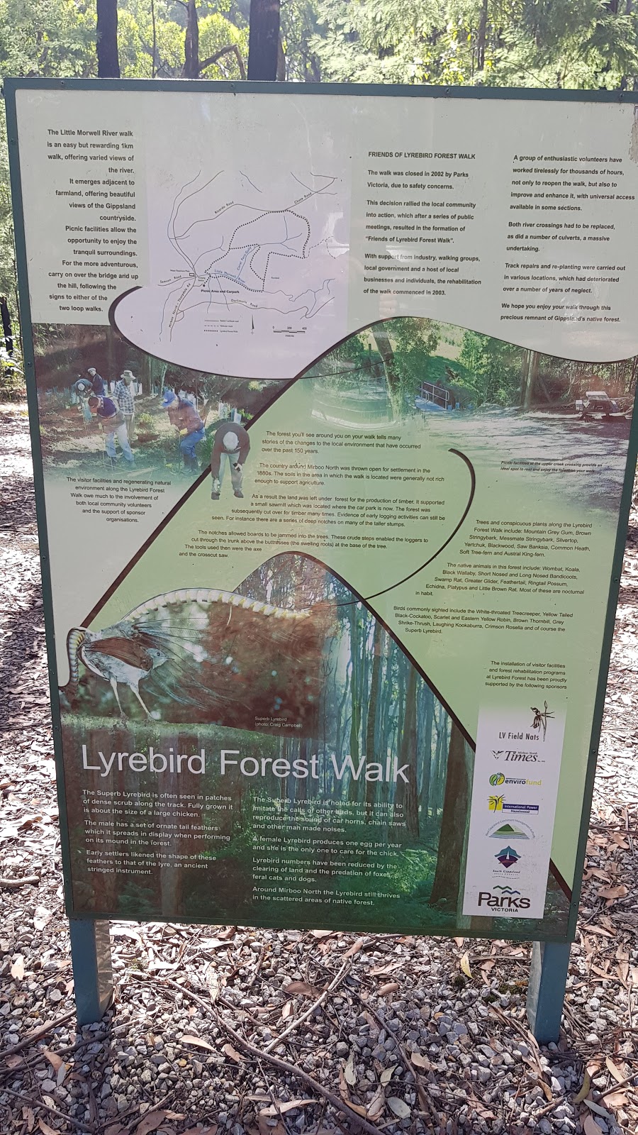 Lyrebird Forest Walk Carpark | Unnamed Road, Mirboo North VIC 3871, Australia