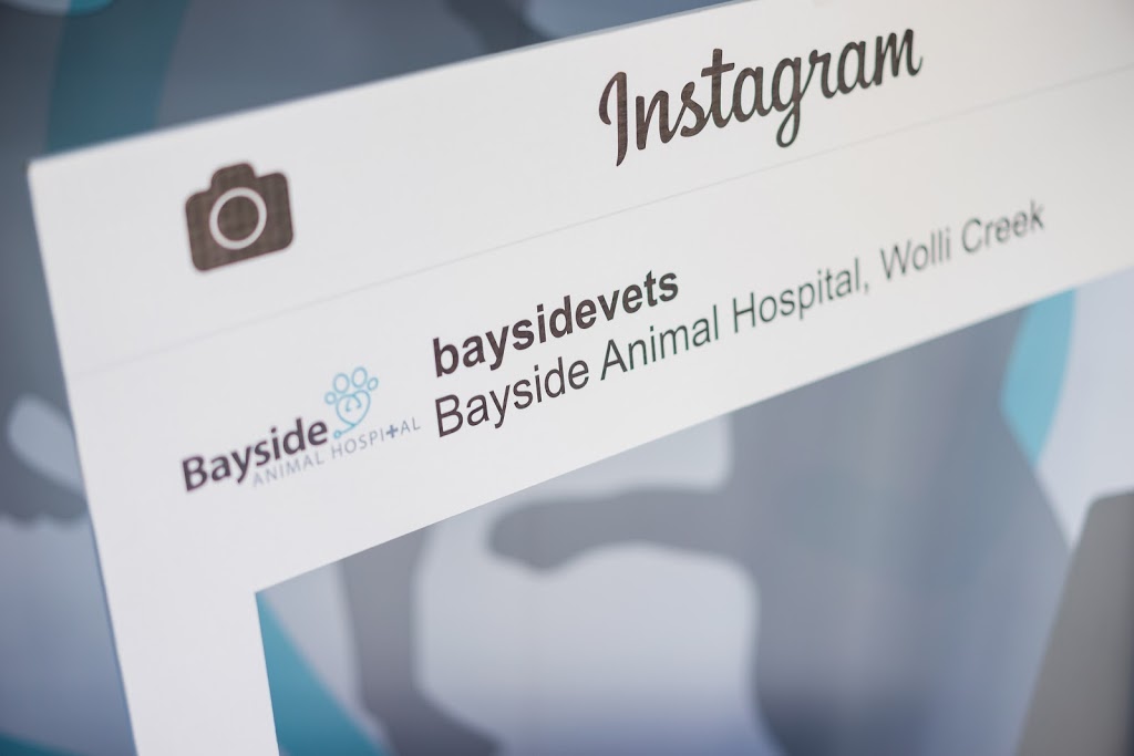 Bayside Animal Hospital | veterinary care | shop 1/1 Guess Ave, Wolli Creek NSW 2205, Australia | 0279010837 OR +61 2 7901 0837