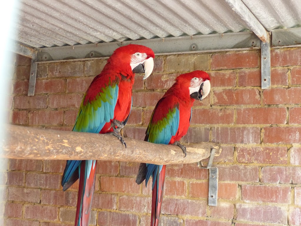 Rainbow Jungle | zoo | Red Bluff Rd, Kalbarri WA 6536, Australia | 0899371248 OR +61 8 9937 1248