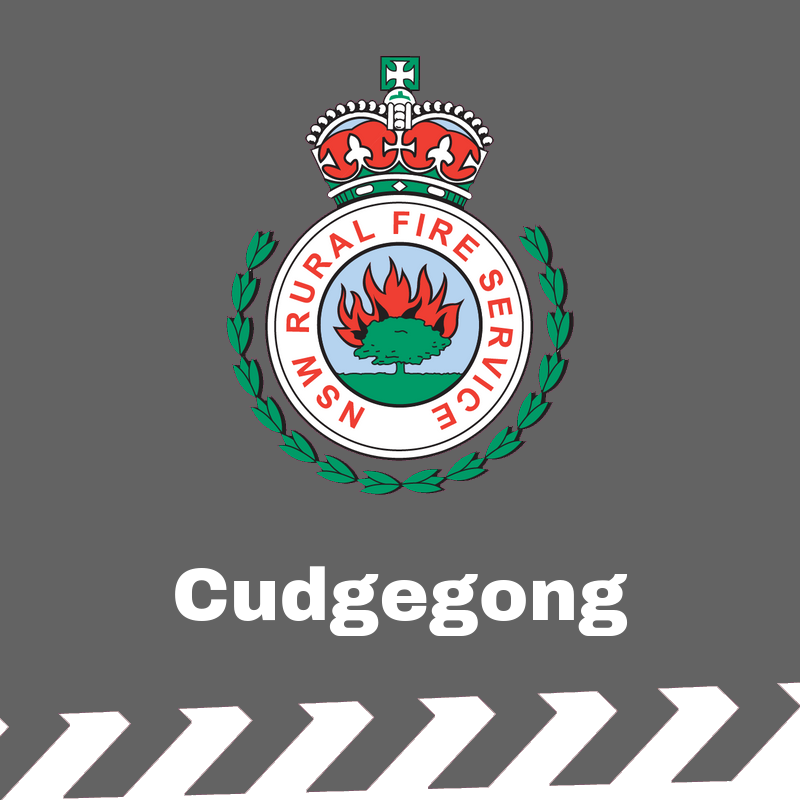 NSW RFS - Cudgegong District | 54 Depot Rd, Mudgee NSW 2850, Australia | Phone: (02) 6372 4434