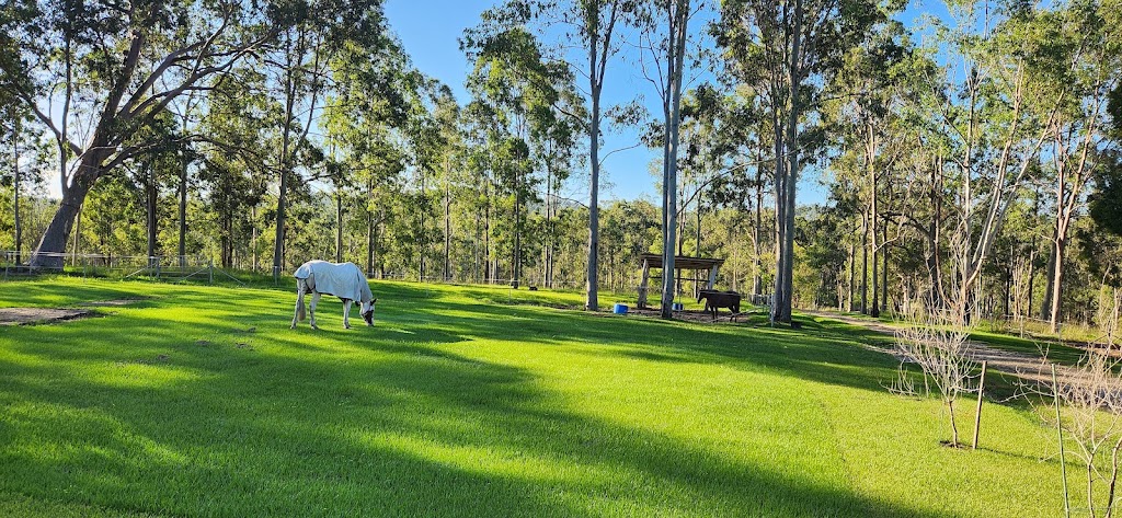 Valenor Equestrian | 231 Ramornie Station Rd, Ramornie NSW 2460, Australia | Phone: 0478 181 789