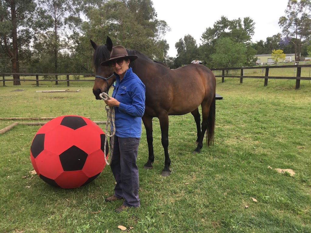 Tranquil Island Horse Experiences and Trail Obstacles | 748 Sackville Rd, Ebenezer NSW 2756, Australia | Phone: 0418 220 927