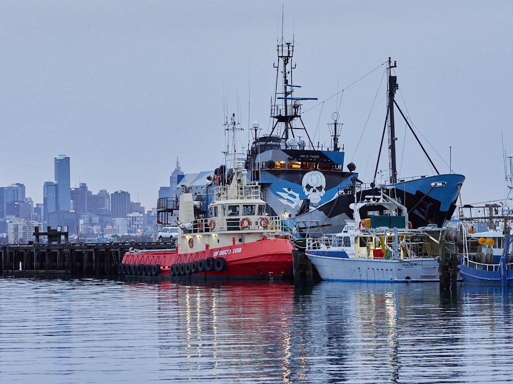 Sea Shepherd | 2 Ann St, Williamstown VIC 3016, Australia | Phone: 1300 623 267