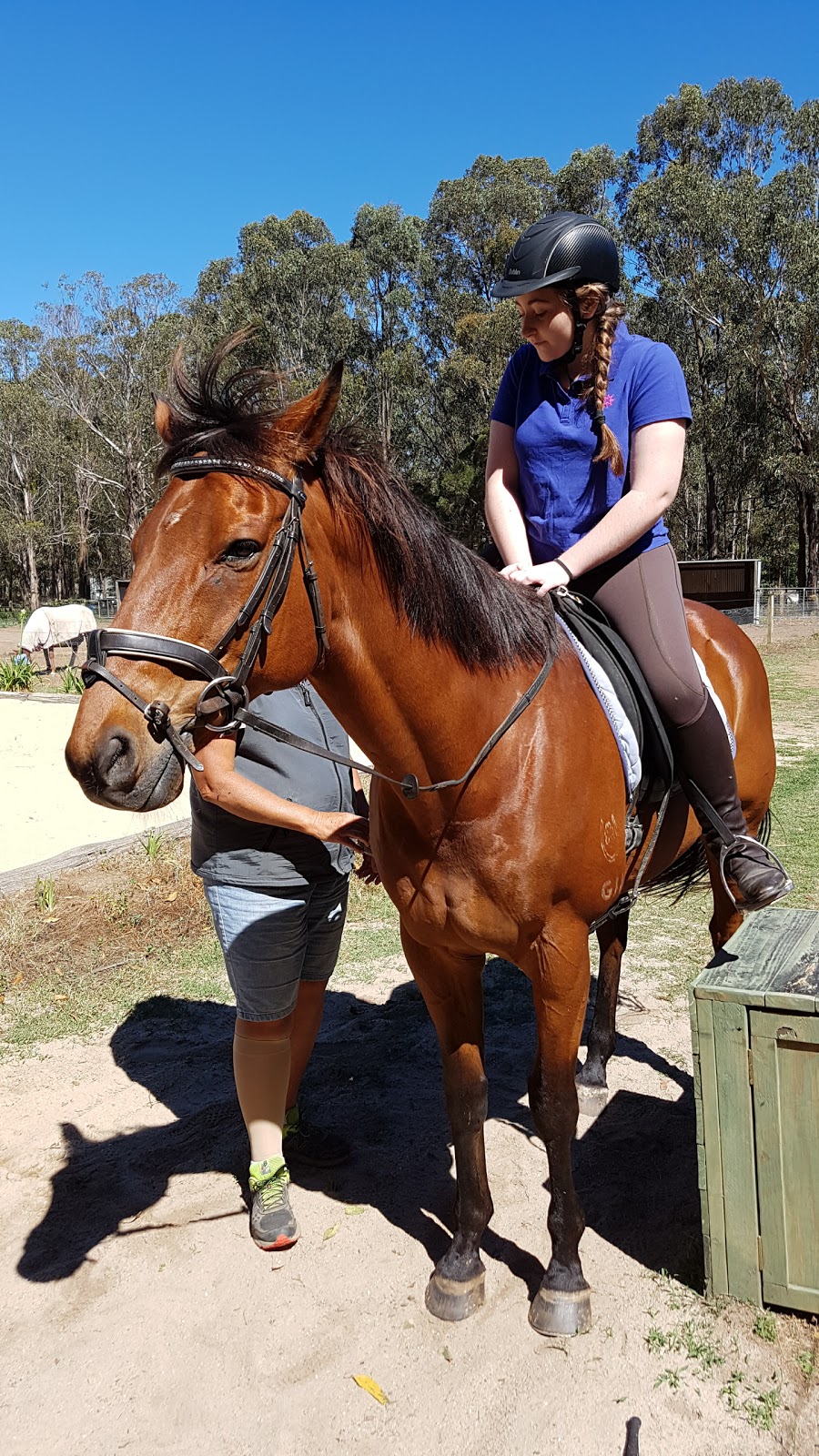 Calm Wood Equestrian Centre | 102 Goods Rd, Oakville NSW 2765, Australia | Phone: 0422 042 477