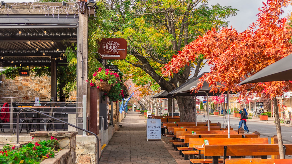 Barossa Valley Tours Adelaide SA Local 100% Family Owned Bums On | 36 Wallala Ave, Park Holme SA 5043, Australia | Phone: 0438 808 253